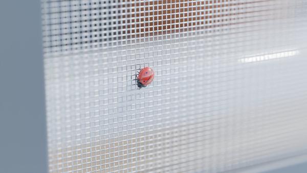 Wiremesh V2A Stainless Steel W: 1.6mm D: 0.5mm M: 12 – 3D visualisation
